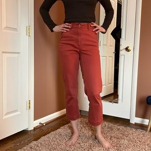 Everlane midi pants